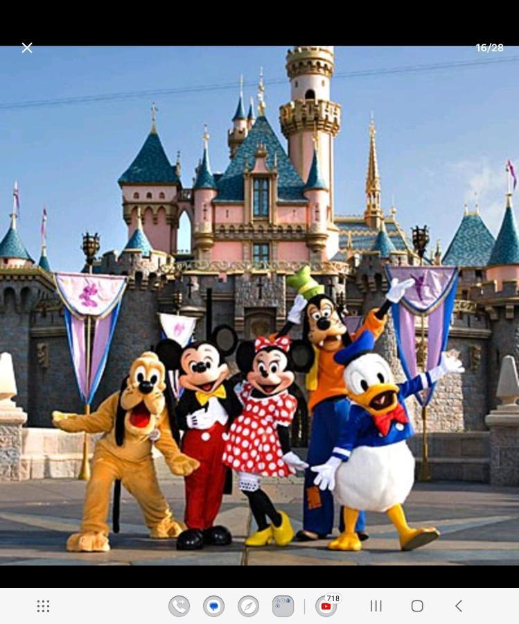 Jungle House Avec Jacuzzi A 10 Min De Disneyland -Taille Chambre- Conde-Sainte-Libiaire Exterior photo